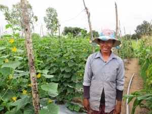 Mrs. Choun Yan, 37, farmer using Trichoderma, Siem Reap Province, Cambodia