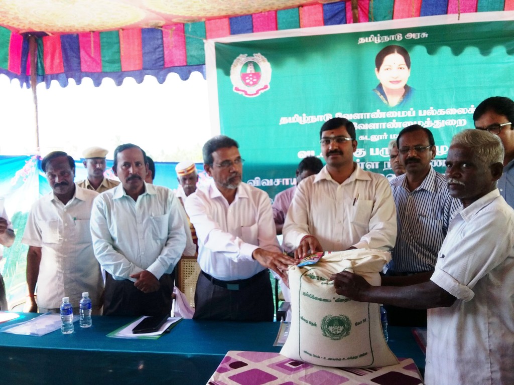 Distribution of Flood Relief Materials, organised by Tamil Nadu Agricultural University  and State Department of Agriculture on 12 December 2015. From left to Right: Director of Tamil Nadu Rice Research Institute, Vice Chancellor of Tamil Nadu Agricultural University, District collector Cuddalore, Joint Director of Agriculture Department, and Special Officer Seeds