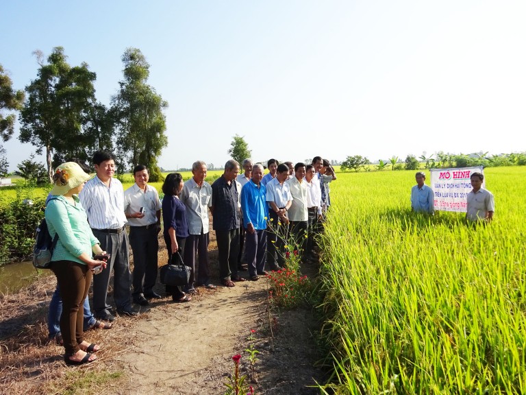 GIZ / Croplife International’s Integrated Pest Management project aims to strengthen both the government officers and the farmers’ knowledge and skills on Integrated Pest Management to have the right decision making in the fields.