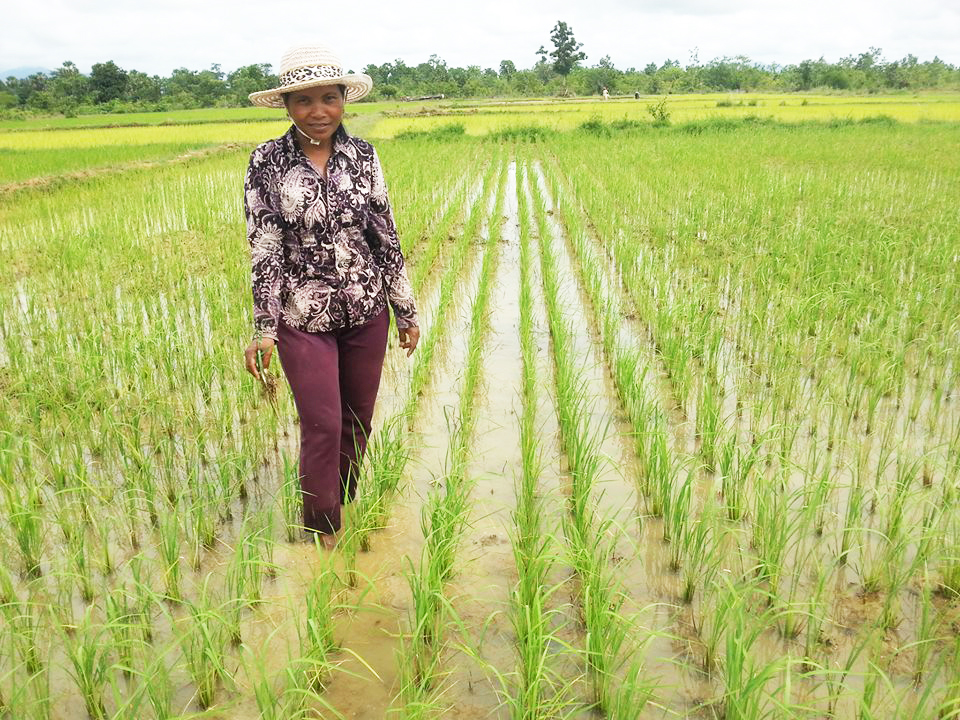 Ms. Him Sothea from Cambodia is an example of the woman who could change her life from nobody to a well-organized organic rice farmer.