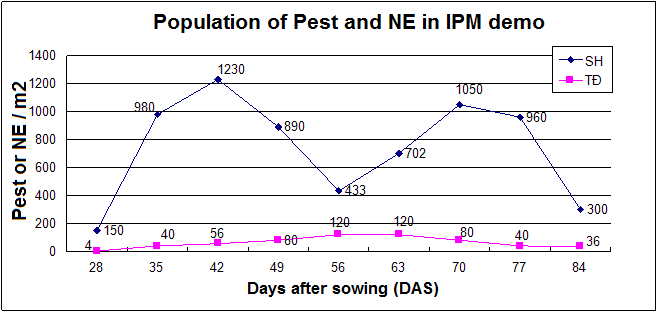 Insect Pest and Natural Enemies’ Population in IPM Demo