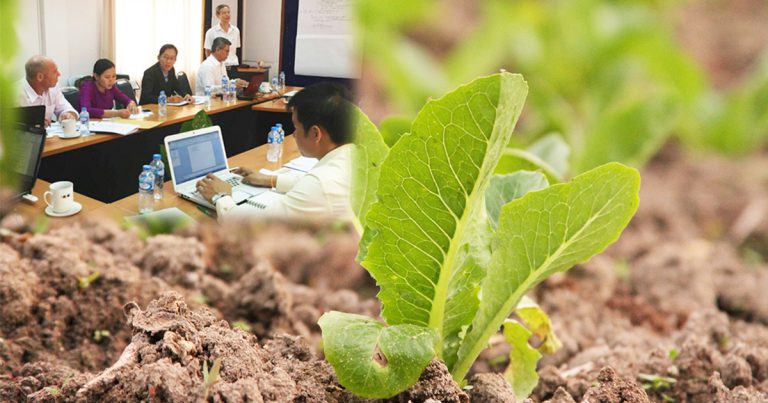 Lao experts contribute to the ASEAN Regional Guidelines on Soil and Nutrient Management