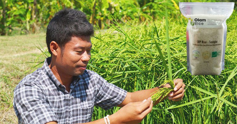 Sustainable Rice Platform Standard: The world’s first sustainability standard for rice