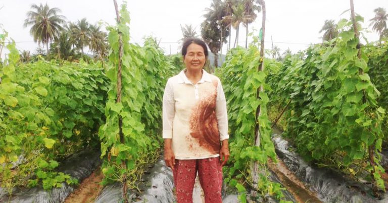 Life of contract farmer in Cambodia: Growing organic, glowing income