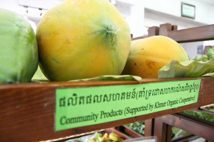 Organic papaya at the Eco-Agri Center.