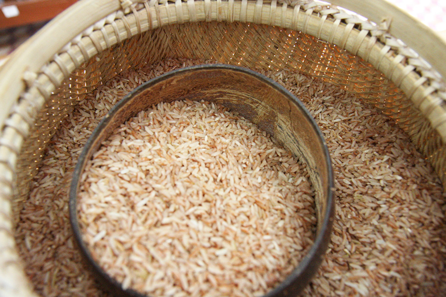 Organic rice at the Eco-Agri Center