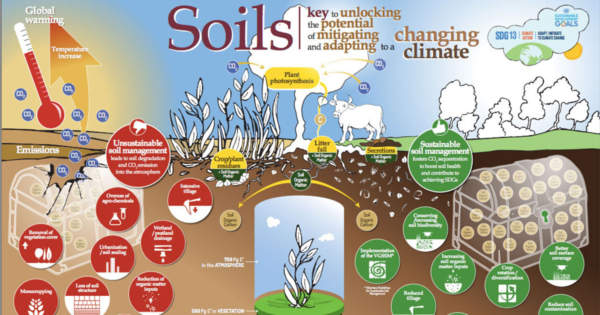 Bad soils VS good soils Future is yours