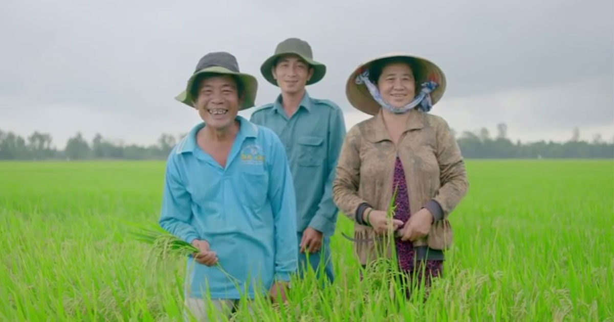 Rice is farmer’s happiness: A female rice farmer tells about Integrated Pest Management training and how she becomes happier