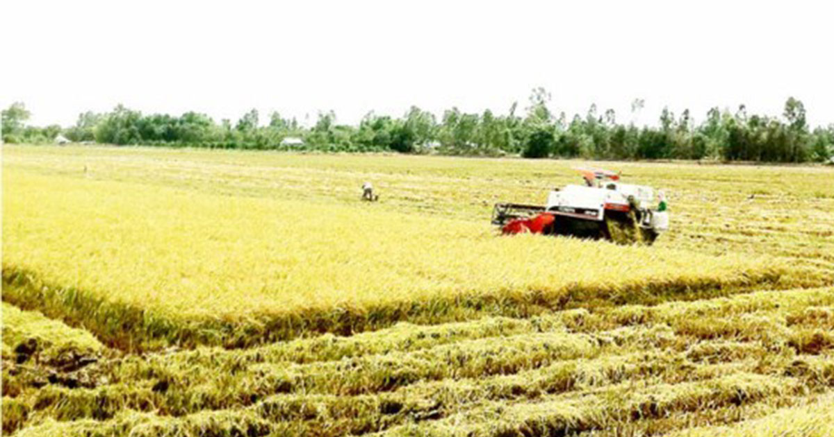 Vietnam.Net, 27 October 207, Vietnam uses remote sensing to monitor rice production
