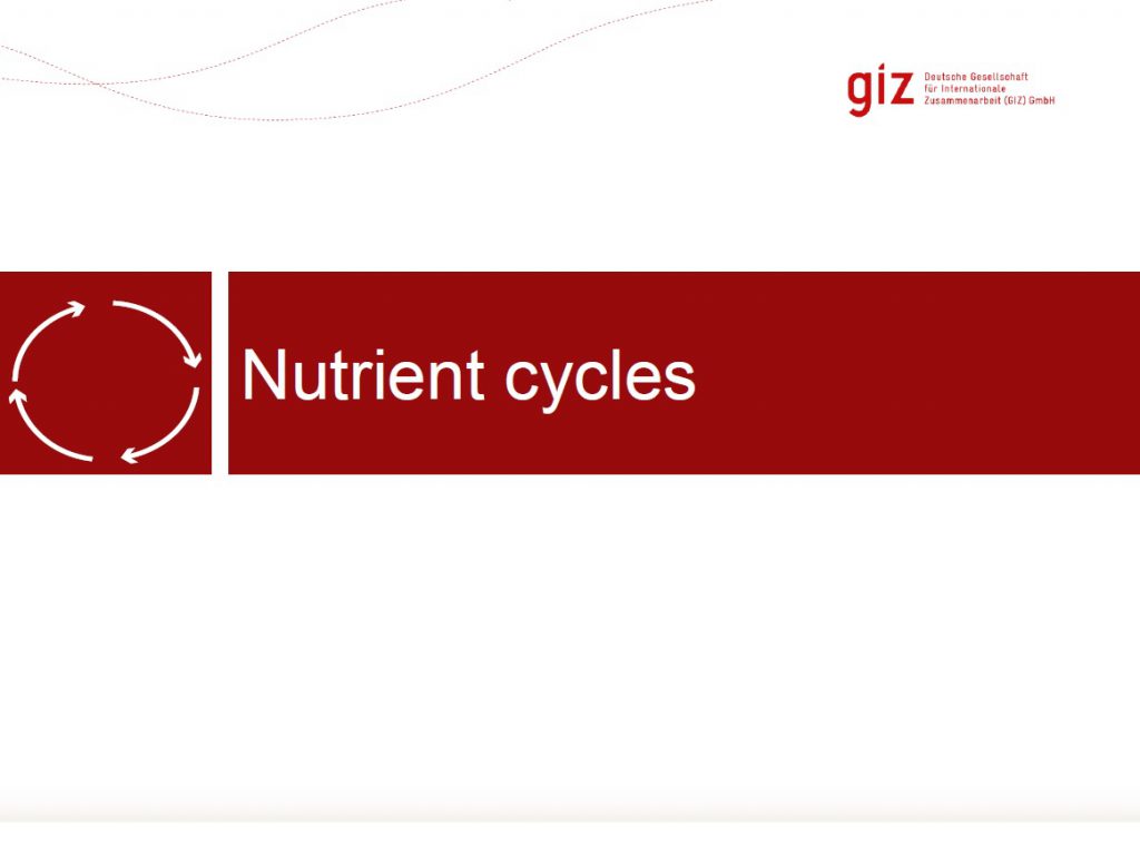 Nutrient cycles