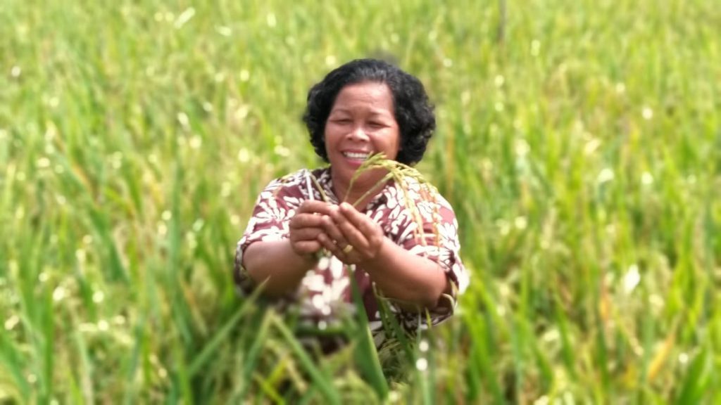 Mrs. Torlina Siagian smiles widely in the rice field. (Photo credit: GIZ Indonesia)