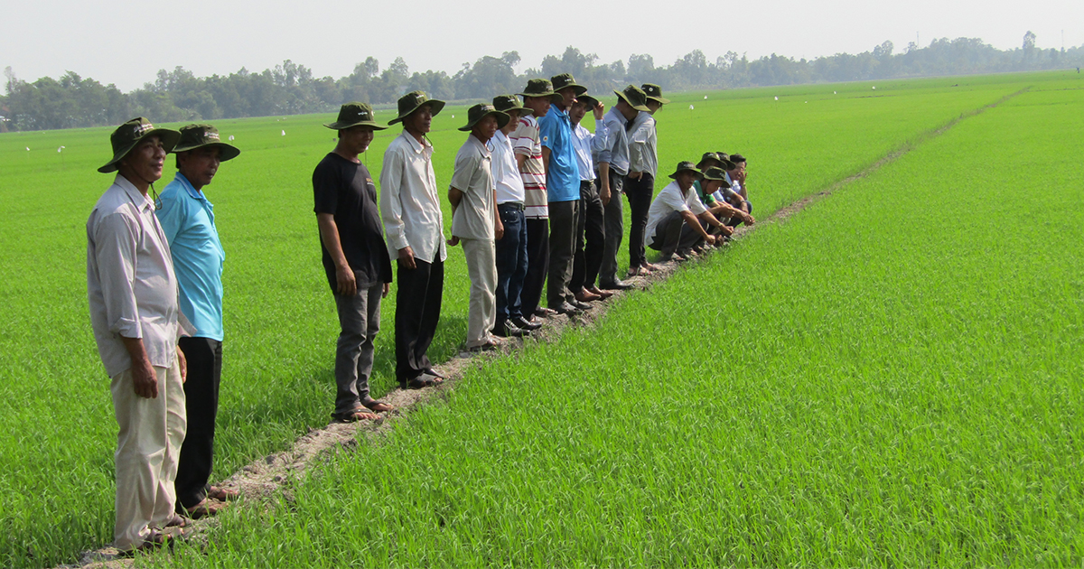 Local farmers take five days to complete the training on SRP & maximum residue levels (MRL). The training was held in An Giang Province on 11 January 2020. (Photo credit: GIZ Vietnam)