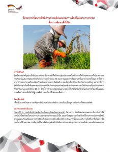FINAL_TH_Factsheet_Thai-Rice-NAMA-1