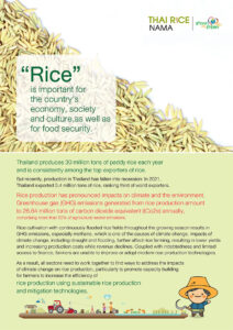 Thai Rice NAMA Factsheet English