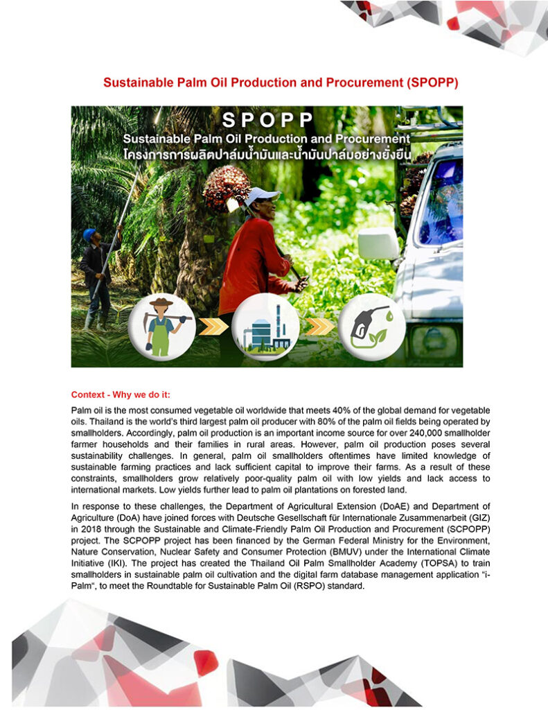 Factsheet: Sustainable Palm Oil Production and Procurement (SPOPP)